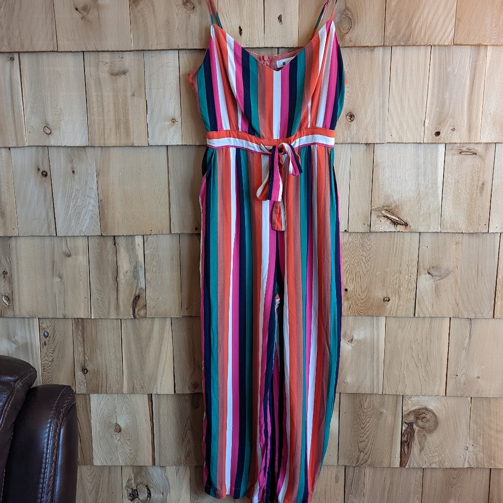 BB Dakota striped jumpsuit